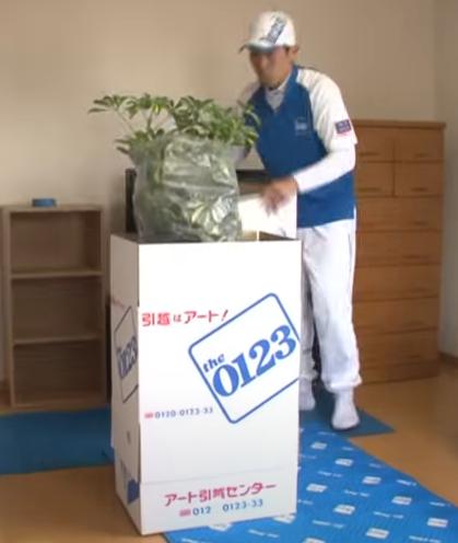 解決 観葉植物を安全に梱包して引越しする方法 オススメ業者 引越しの良い方法まとめ